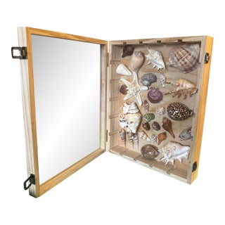 Curated Marine Specimen Collection in a Hinged Natural Wood Shadow Box Vitrine For Sale