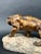 Patinated Bronze Mounted on Marble Sculpture Figure of a Lion For Sale In Los Angeles - Image 6 of 7