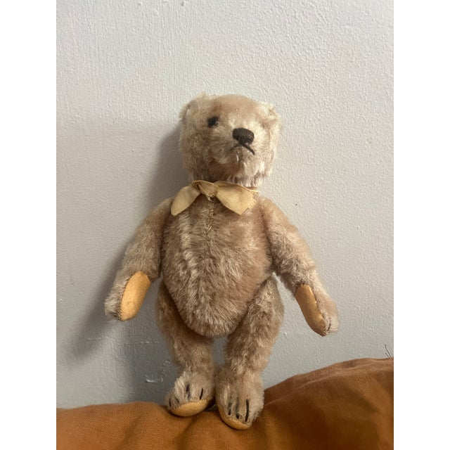 Small Steiff Bear Antique For Sale - Image 9 of 11