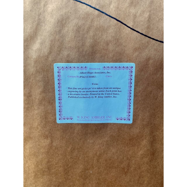 Late 20th Century Framed Botanical Fern Print by W. King Ambler For Sale In Jacksonville, FL - Image 6 of 8