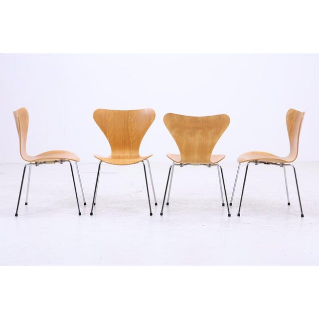 Series 7 Chairs by Arne Jacobsen for Fritz Hansen, Set of 4 For Sale - Image 3 of 18