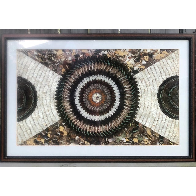 Vintage Butterfly Wing Kaleidoscope Art For Sale In Greenville, SC - Image 6 of 6