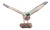 Wooden Carved Duck, Large, 1980s For Sale