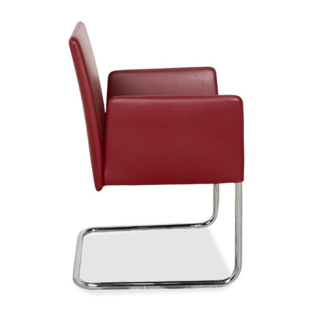 Jason Leather Cantilever Chairs in Red from Walter Knoll and Wilhelm Knoll, Set of 4 For Sale - Image 12 of 15