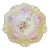 Antique Rs Prussia Mold 78 Lily Bowl For Sale