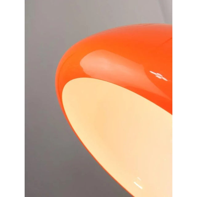 Mid-Century Modern Cabras Lamp by Luigi Massoni for Guzzini (Rare Large), 1960s For Sale - Image 17 of 18