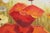Hand Painted Oil Painting on Canvas Bright Poppy Flowers For Sale In Philadelphia - Image 6 of 13