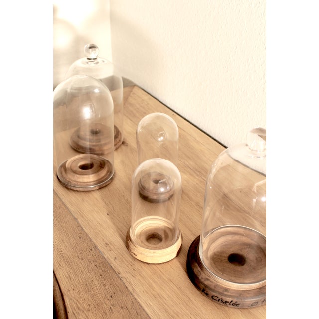 French Handblown Glass Bell Jar Display with Wooden Stand Marking Arc De Triomphe, Paris, Set of 5 For Sale - Image 6 of 10