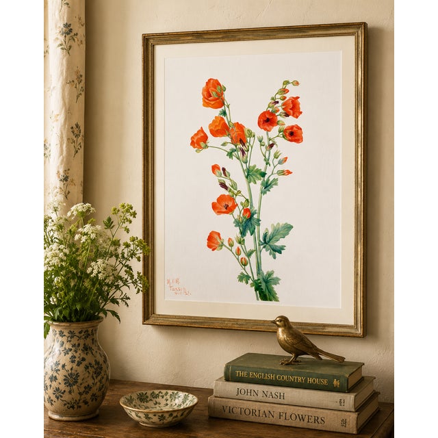 Scarlet Globe Mallow, Vintage Botanical Art Print Reproduction by Mary Vaux Walcott, 20″ × 30″ For Sale - Image 4 of 10