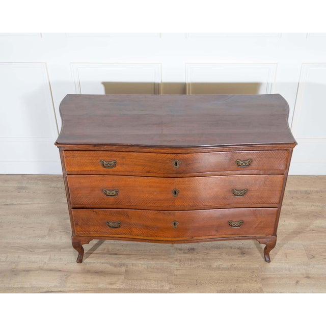 Neoclassical Directoire Chest of Drawers in Walnut 1780 Venice For Sale - Image 3 of 8