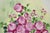 Late 20th Century Late 20th Century Mary Wilson French Hand Painted Porcelain Plaque Pink Rose Flower Painting (A) For Sale - Image 5 of 17