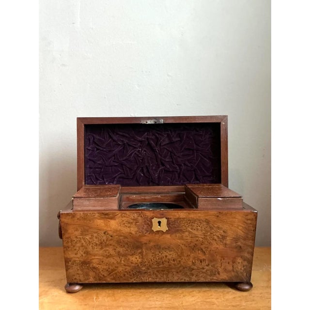Vintage Burl and Brass Decorative Box For Sale - Image 4 of 13