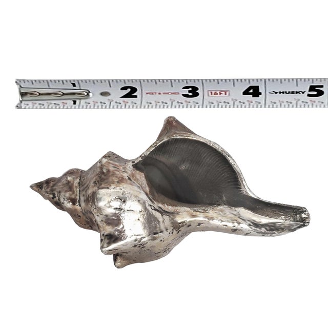 Buccellati Real Shell Seashell Silver Alloy Dipped For Sale - Image 4 of 8