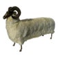 Shop Gallery Girasole