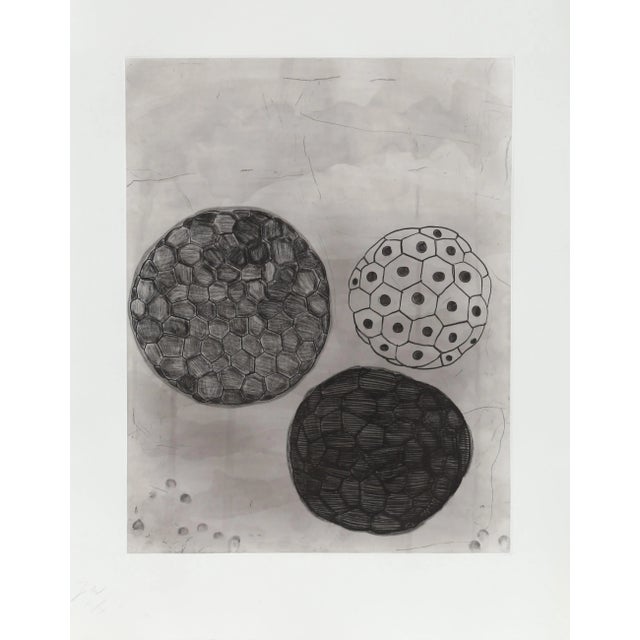 Abstract Terry Winters - #5 From Album Portfolio Etching With Aquatint For Sale - Image 3 of 3