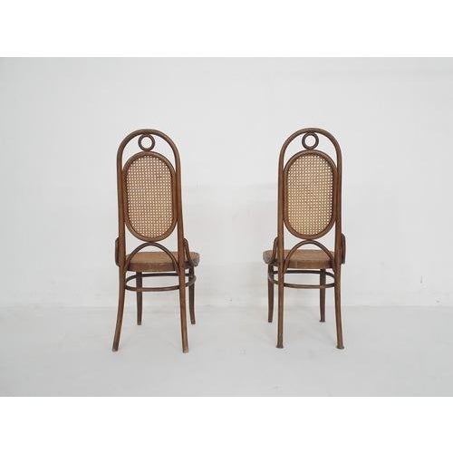 Nr. 5 Dining Chairs by Michael Thonet for Thonet, Romania, 1900s, Set of 2 For Sale - Image 5 of 13