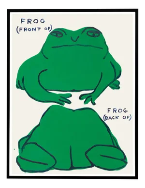 David Shrigley, Frog (Front Of), Frog (Back Of) Poster, 2021, Lithograph, Framed