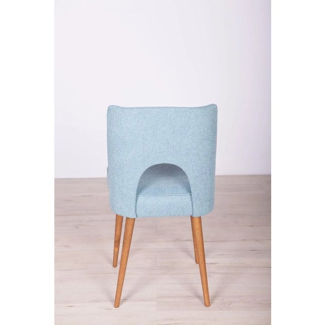 Blue Polish Shell Chairs from Bydgoszcz Furniture Factory, 1960s, Set of 6 For Sale - Image 8 of 17