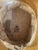 Brown 19th Century French Leather Hat Box With Original Top Hat Rouen For Sale - Image 8 of 13