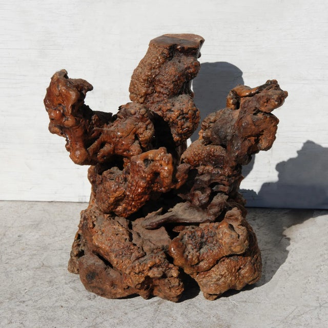 Rustic Vintage Root & Glass Top Side Table For Sale - Image 3 of 7