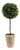 Boxwood Single Ball Topiary from Kenneth Ludwig Chicago For Sale