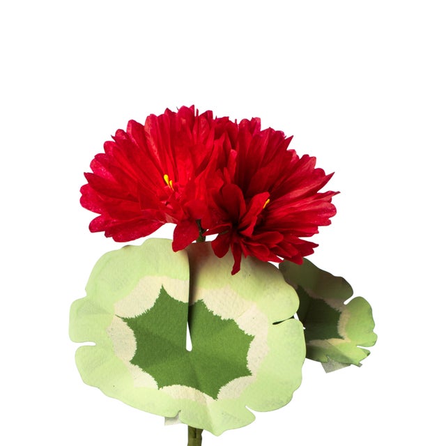 Paper mini geranium plant with hand painted leaves and 1 blossom in a beautiful aged terra cotta pot. Pictured here in red...