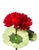 Paper mini geranium plant with hand painted leaves and 1 blossom in a beautiful aged terra cotta pot. Pictured here in red...