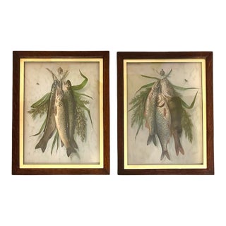 Antique Late 19th Century British School Trompe L’Oeil Embossed Hunt Trophy / Hunting / Fishing / Fish Chromolithographs Prints, a Pair For Sale