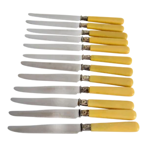 Vintage Set of 12 Paris Bone Handle Knives