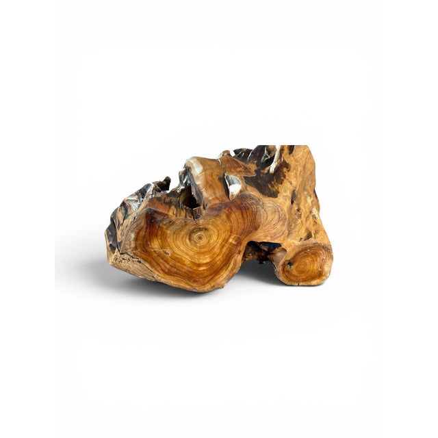Amorphic Handcrafted Root Wood Wine Rack For Sale - Image 10 of 10