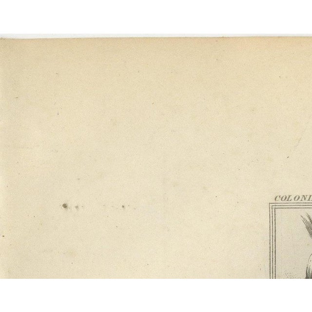 Paper Antique Map of French Algeria, Algiers and Abd El-Kader, 1860 For Sale - Image 7 of 12