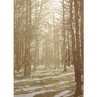 Paula Crane "Inner Sanctum" Signed Numbered Artwork Etching of Forest Trail For Sale