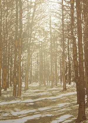 Paula Crane "Inner Sanctum" Signed Numbered Artwork Etching of Forest Trail