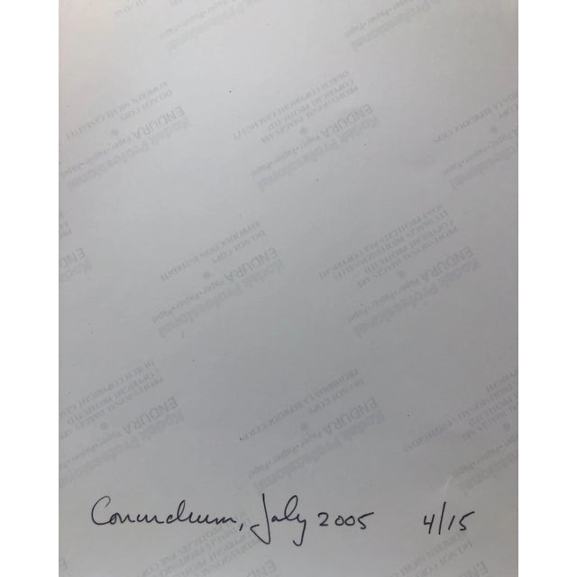 American Peter C. Jones 1, Conundrum, Floral Large Format Photo 24X20 Color Photograph Beach House RI, 2005 For Sale - Image 3 of 6