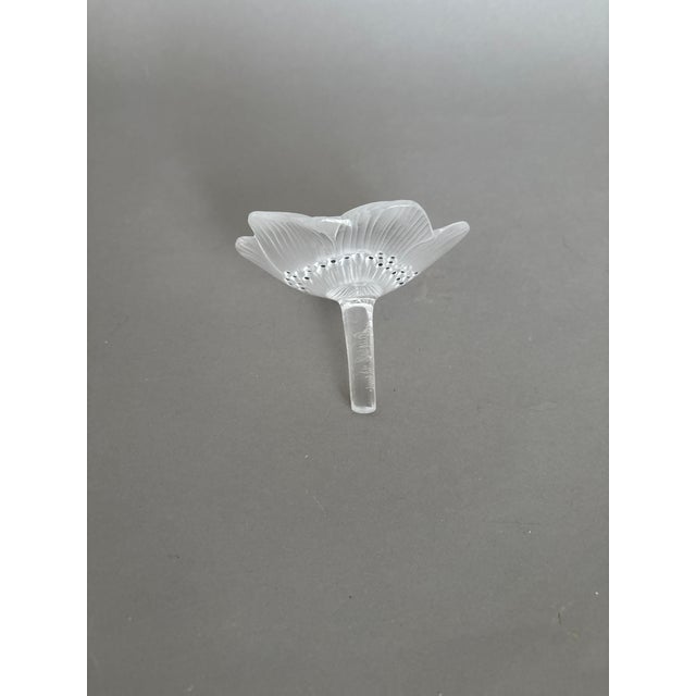 Modern Lalique Glass Anenome Flower Paperweight For Sale - Image 3 of 7