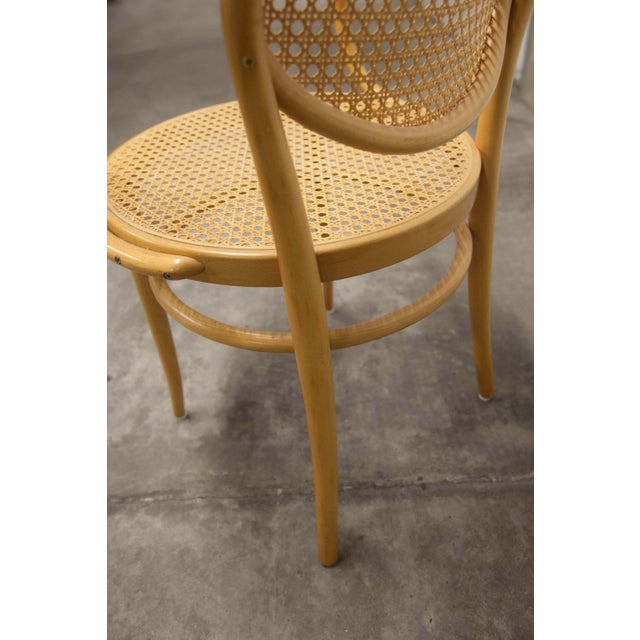 Honey Colored Cane 210 R Armchair from Thonet, 1994 For Sale - Image 14 of 18