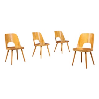 Dining Chairs attributed to Oswald Haerdtl for Ton, Former Czechoslovakia, 1950s, Set of 4 For Sale