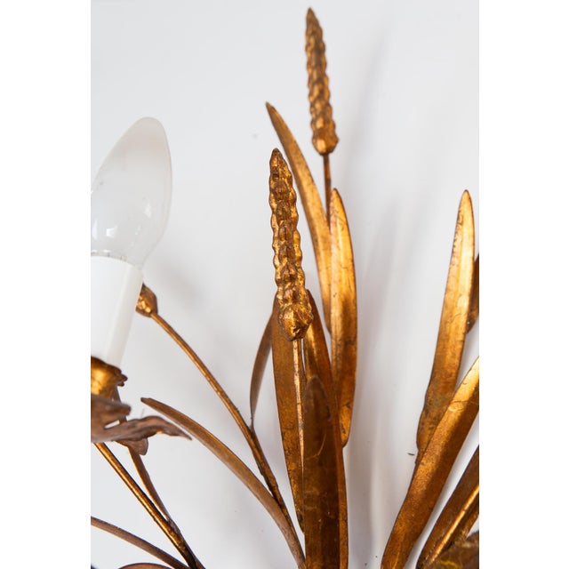 1970s Italian Gilt Metal Wall Sconce with Leaves and Ears of Wheat, 1960s For Sale - Image 5 of 7