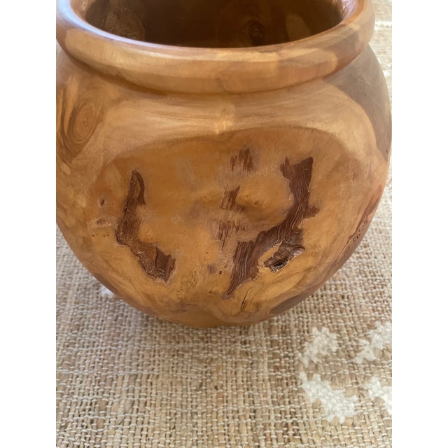 The Turned Teak Root Dry Vase Rounded Urn by Root is a unique and stylish decorative piece that adds a touch of natural...