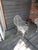 Victorian Rare English Gothic Regency Wirework and Wrought Iron Garden Bench 1820s For Sale - Image 3 of 13