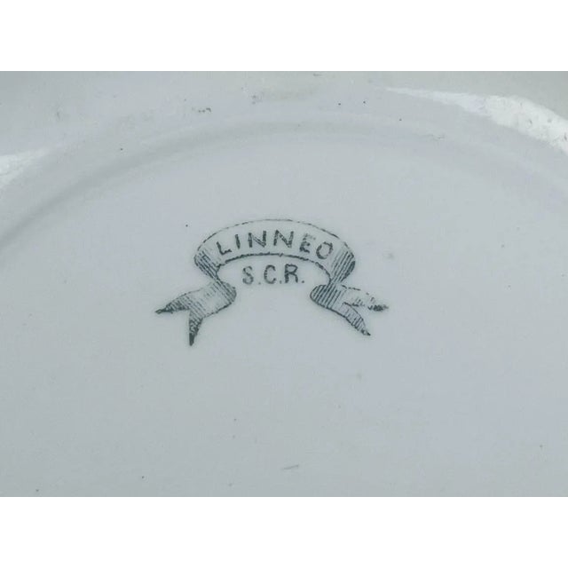 Late 20th Century Antique Italian Botanical Plates | s.c.r. Linneo Green Transferware Set (20cm) For Sale - Image 5 of 18