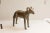Old New House Vintage African Ram Sculpture For Sale - Image 4 of 8