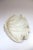 1950s Vintage Plaster and Resin Giant Tridacna Clam Shell Centerpiece/Vide Poche For Sale - Image 5 of 12