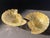 Gold 1950s Mid-Century Barovier & Toso Gold Fleck Scalloped Shell Bowls - a Pair For Sale - Image 8 of 13