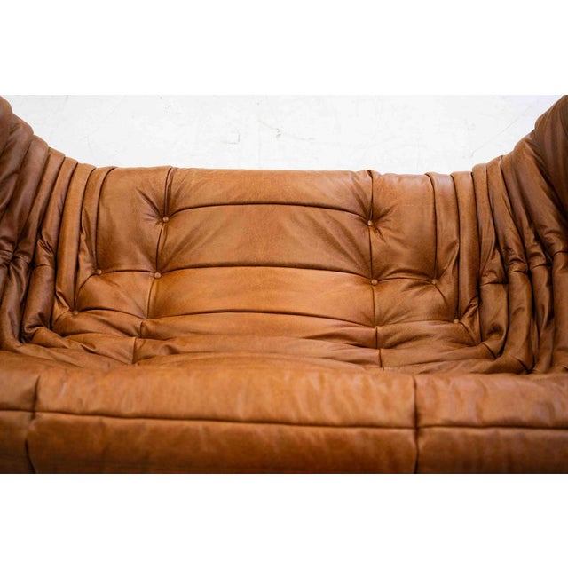 Vintage Two-Seater Togo Sofa with Arms in Brown Pine Leather by Michel Ducaroy for Ligne Roset, 1970s For Sale - Image 17 of 18