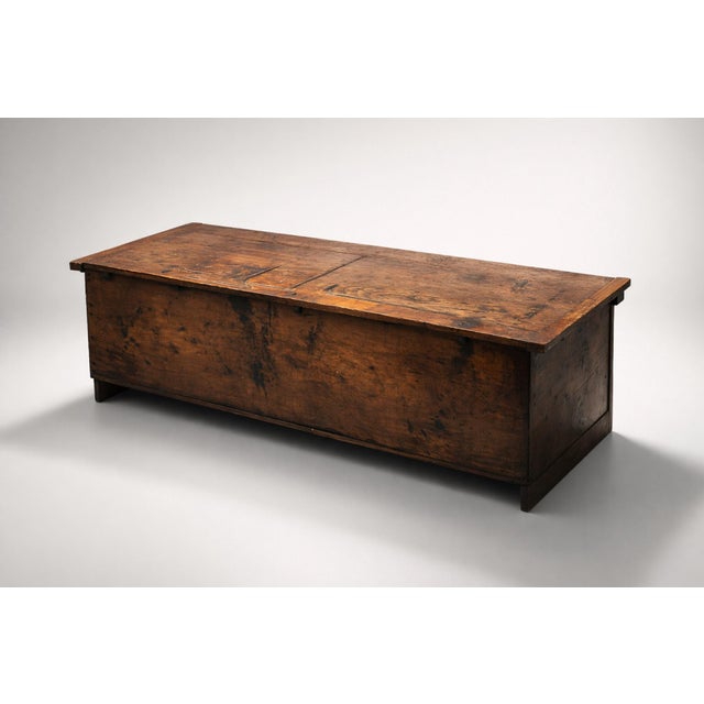 Antique Austrian Painted Trunk For Sale - Image 4 of 8