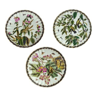 Mid 20th Century Hand Painted Botanical Birds & Blooms Crackle Glaze Scalloped Wall Decorative Plates - Set of 3 For Sale