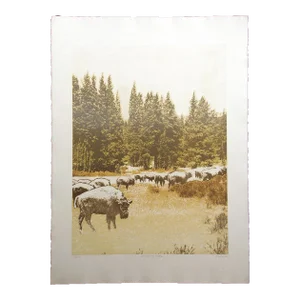 Ted Thomas "Vanishing Herd #2" Signed Numbered Artwork Etching of Buffalos
