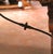 19th C. Spanish Baroque Walnut Refectory Table With Iron Stretcher For Sale - Image 9 of 9