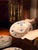 18th Century Viennese Blue and White Porcelain Dinner Plates, Set of 44 For Sale - Image 3 of 18